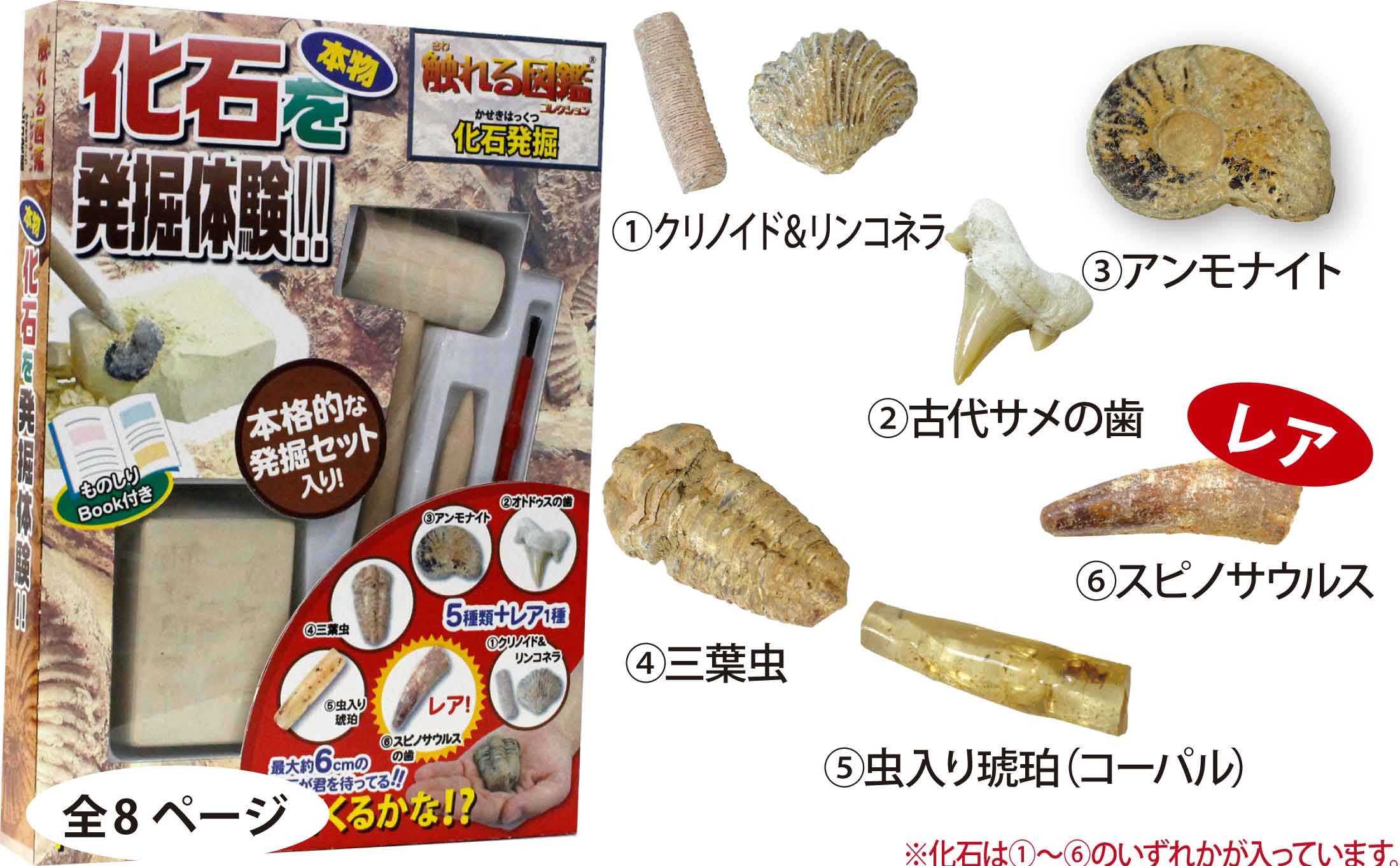 zukan_lp_item01