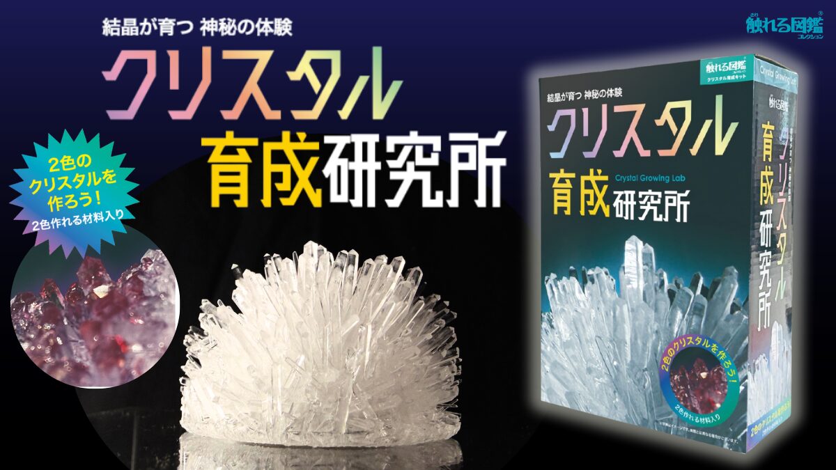 【くるみるく】izanai クリスタルアクセサリー　neten 七沢研究所 子どもの好奇心に火をつける！新商品「触れる図鑑 クリスタル育成研究